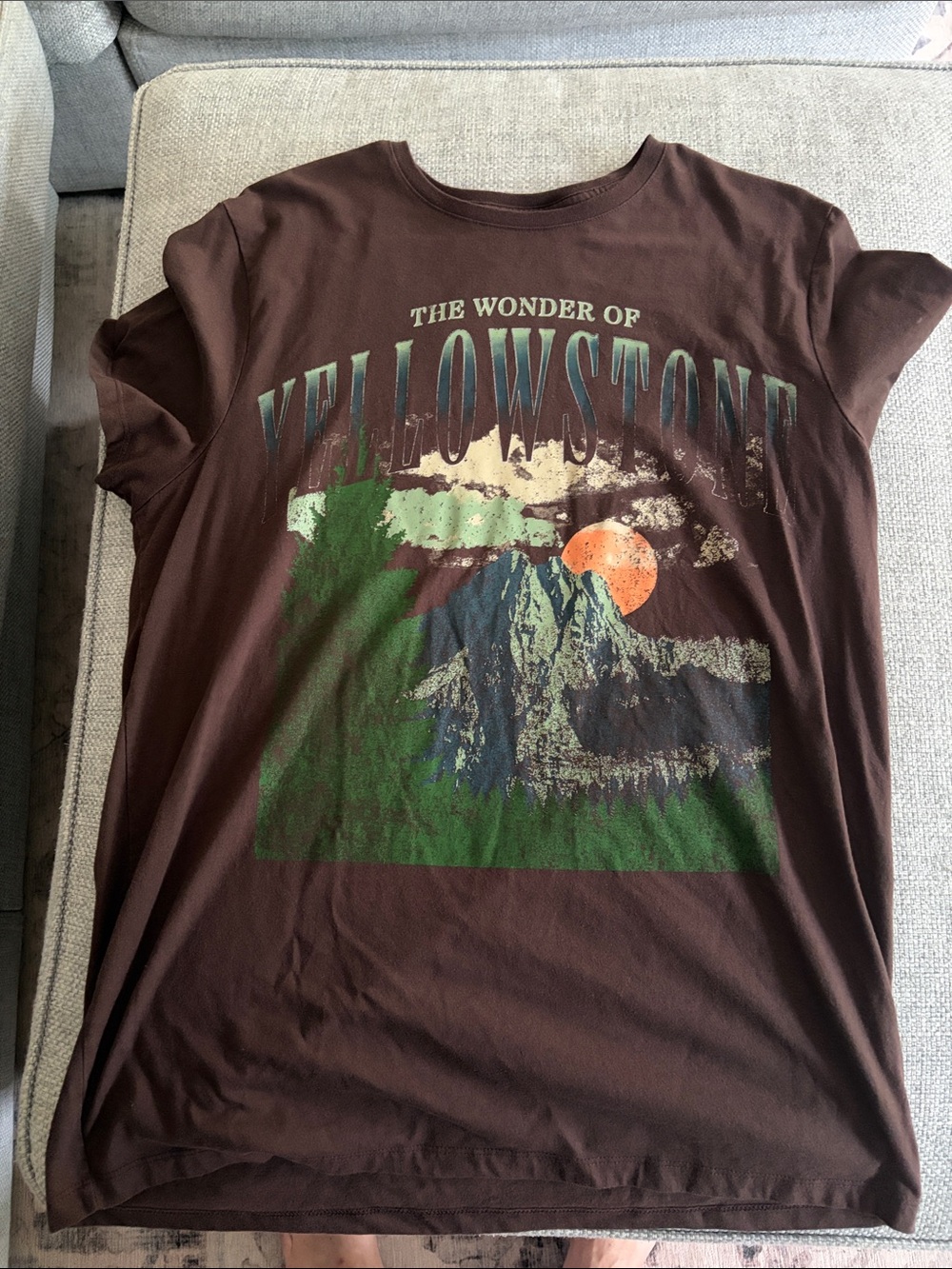 Goodfellow & Co Brown Crewneck T‑Shirt with Green Accent